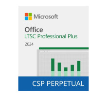 Офісний додаток Microsoft Office LTSC Professional Plus 2024 Commercial Software, Perpetual (DG7GMGF0PN5F_0002)