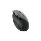 Мишка Acer Smart Fit Vertical Wireless Black (HP.EXPBG.020)