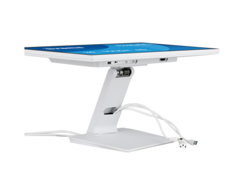 Монітор iiyama T2452MSC-W2AG