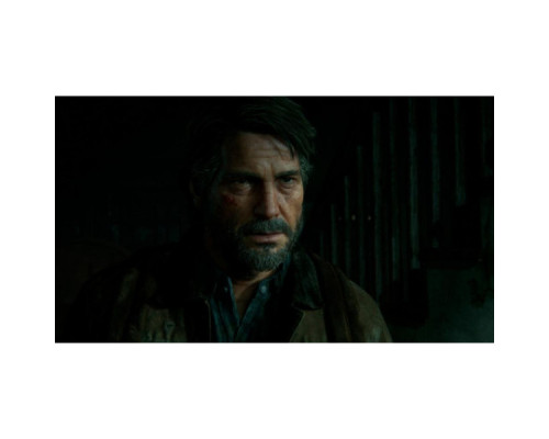 Гра Sony The Last of us II [PS4, Russian version] (9702092)