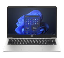 Ноутбук HP 245 G10 (A23L1EA)