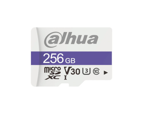 Карта пам'яті Dahua DHI-TF-C100/256GB
