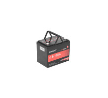 Батарея LiFePo4 Dumfume 12,8V 100Ah 1280Wh (Dumfume-12,8V/100Ah-MINI)