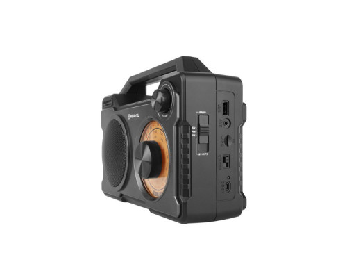 Портативний радіоприймач REAL-EL X-703 (EL121800002)