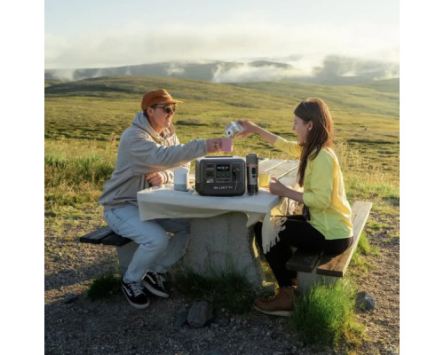 Зарядна станція BLUETTI AC50B 700W 448Wh (AC50B)