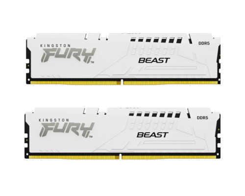 Модуль пам'яті для комп'ютера DDR5 32GB (2x16GB) 5600 MHz Beast White Kingston Fury (ex.HyperX) (KF556C36BWEK2-32)