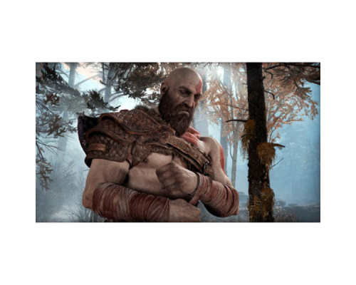 Гра Sony God of War (Хиты PlayStation) [PS4, Russian version] (9808824)