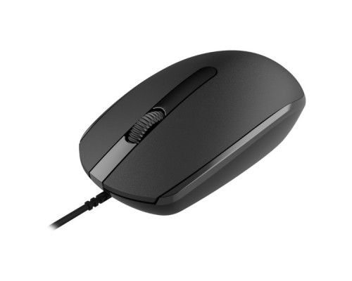 Мишка Canyon M-10 USB Black (CNE-CMS10B)