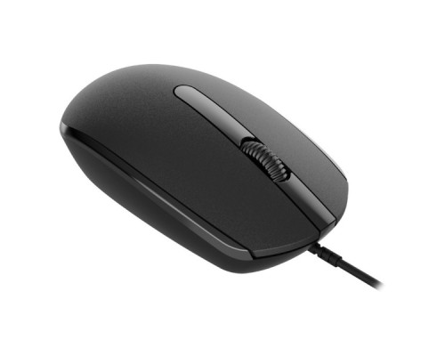 Мишка Canyon M-10 USB Black (CNE-CMS10B)