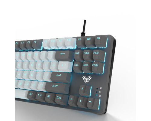 Клавіатура Aula F3287 Keycap KRGD Blue USB UA Grey/White (6948391240954)