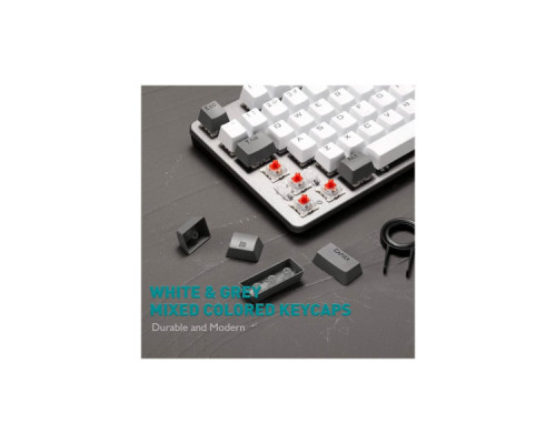 Клавіатура Aula F3287 Keycap KRGD Blue USB UA Grey/White (6948391240954)