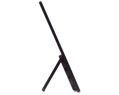 Монітор Acer PM161Wbmiuux (UM.ZP1EE.012)