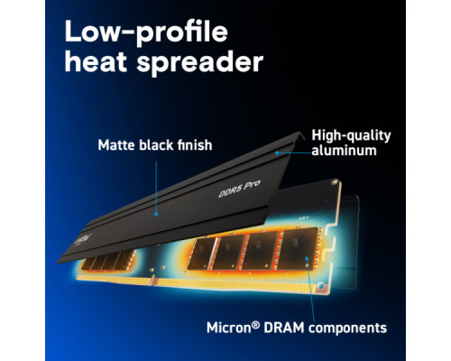 Модуль пам'яті для комп'ютера DDR5 64GB 5600 MHz Micron (CP64G56C46U5)