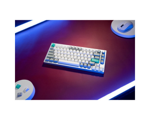 Клавіатура Lemokey P1 Pro Super Red RGB Wireless/Bluetooth/USB Space Silver (P1P-X1-UA)