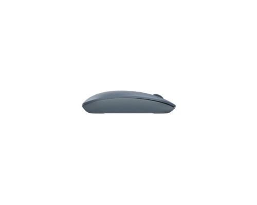 Мишка A4Tech FG20 Ash Blue (4711421952682)