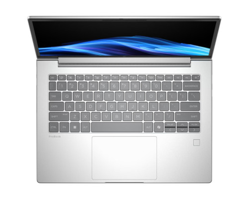 Ноутбук HP ProBook 4 G1i 14 (D0VG6ET)