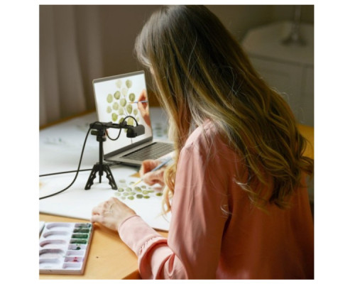 Веб-камера J5create JVU250-N Full HD USB-A/C (JVU250-N)