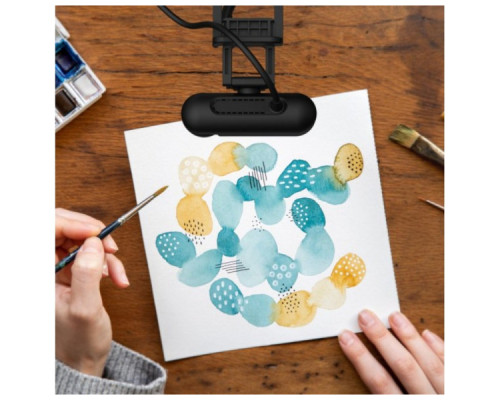 Веб-камера J5create JVU250-N Full HD USB-A/C (JVU250-N)