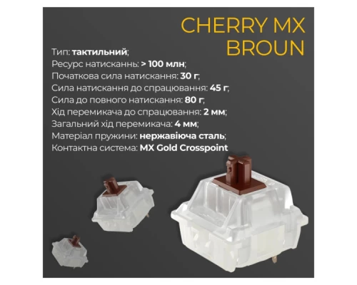 Клавіатура Ducky One 3 TKL Cherry MX Brown RGB UA USB Black (DKON2187ST-BUAPXCLAWSC1) Клавіатура Ducky One 3 TKL Cherry MX Brown RGB UA USB Black (DKON2187ST-BUAPXCLAWSC1)