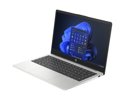 Ноутбук HP 245 G10 (A3DU4ES) Ноутбук HP 245 G10 (A3DU4ES)