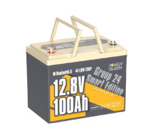 Батарея LiFePo4 Power Queen PREM24 12.8V 100Ah H190 (P12V100-PREM24-BT-4-A70)