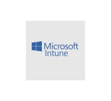 Офісний додаток Microsoft Intune Storage Add-on P1Y Annual License (CFQ7TTC0LCH4_0006_P1Y_A)