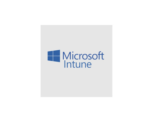 Офісний додаток Microsoft Intune Storage Add-on P1Y Annual License (CFQ7TTC0LCH4_0006_P1Y_A)