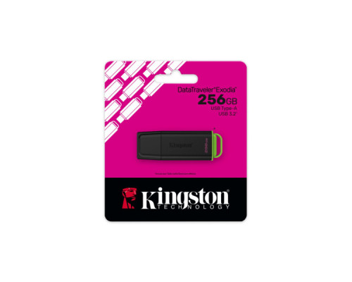 USB флеш накопичувач Kingston 256GB DataTraveler Exodia Black-Green USB 3.2 (DTXG2/256GB)