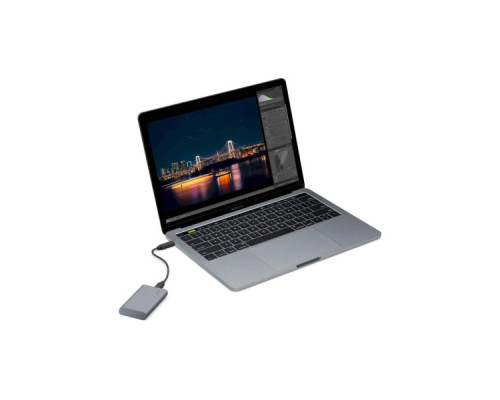 Накопичувач SSD USB Type-C 1TB Mobile Secure LaCie (STKH1000800)