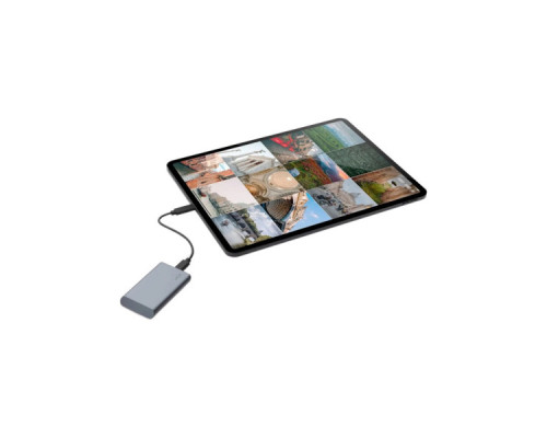 Накопичувач SSD USB Type-C 1TB Mobile Secure LaCie (STKH1000800)