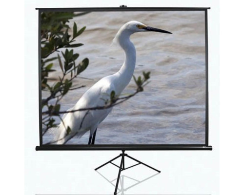 Проекційний екран T84UWV1 Elite Screens