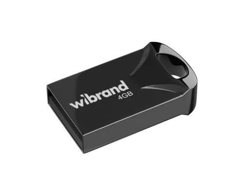 USB флеш накопичувач Wibrand 4GB Hawk Black USB 2.0 (WI2.0/HA4M1B)