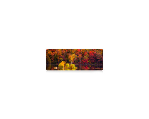 Килимок для мишки Voltronic Autumn forest (AT372)
