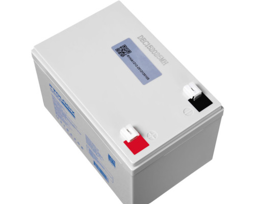 Батарея LiFePo4 Prologix 12.8V - 12Ah (PLFP12-12)