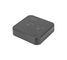 Док-станція для накопичувачів Digitus Dual M.2 NVMe SSD USB Type-C 3.2 Black (DA-71545)