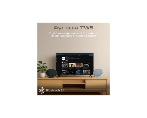 Акустична система HiFuture Orbit Silver (orbit.silver.)