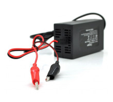 Мережевий зарядний пристрій для АКБ Merlion YT-CH-12200