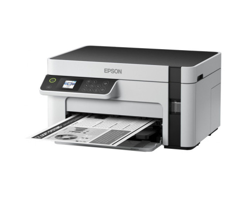 Багатофункціональний пристрій Epson M2120 (C11CJ18404)