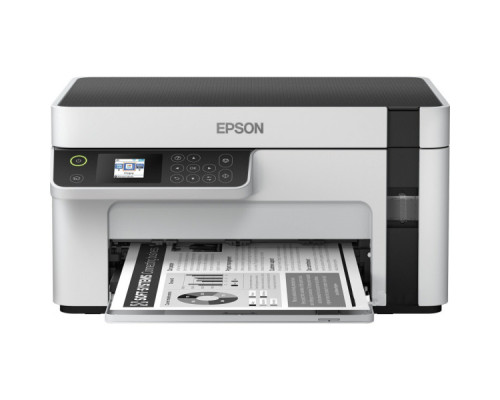 Багатофункціональний пристрій Epson M2120 (C11CJ18404)