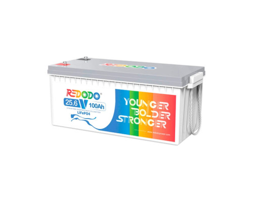 Батарея LiFePo4 Redodo 24V-100Ah (Redodo-24V100Ah)