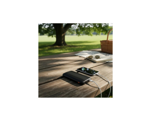 Батарея універсальна AWEI 10000mAh P20K, 12W, Black (6954284009744)