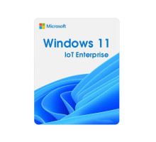 Операційна система Microsoft Windows 11 IoT Enterprise LTSC 2024 Perpetual, Commercial, OneTime (DG7GMGF0PP49_0001)