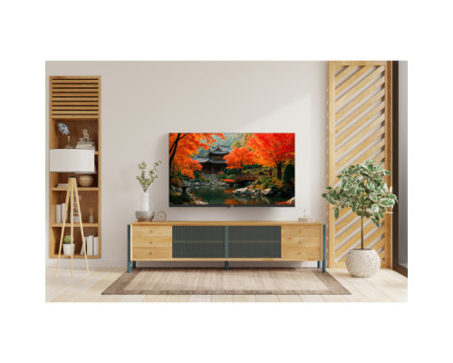 Телевізор Ergo 40JFS6800